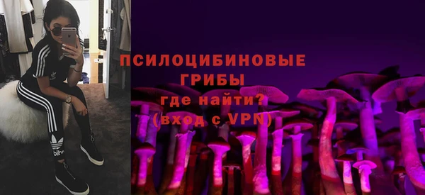 стафф Армянск