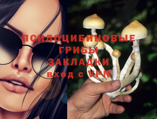 стафф Армянск