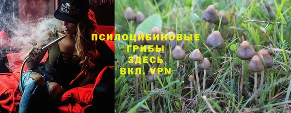 стафф Армянск