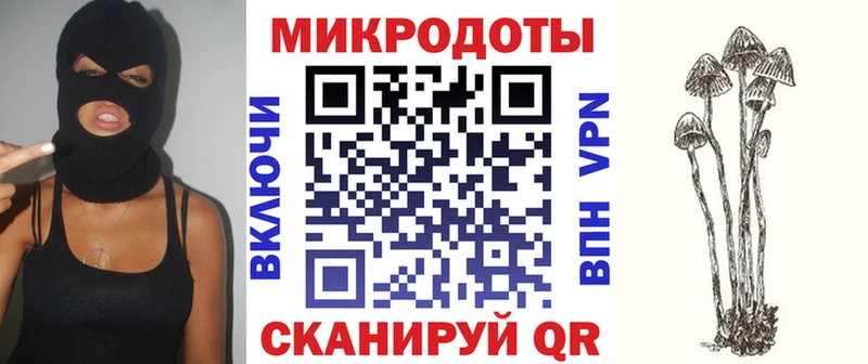 Галлюциногенные грибы Cubensis Рыльск